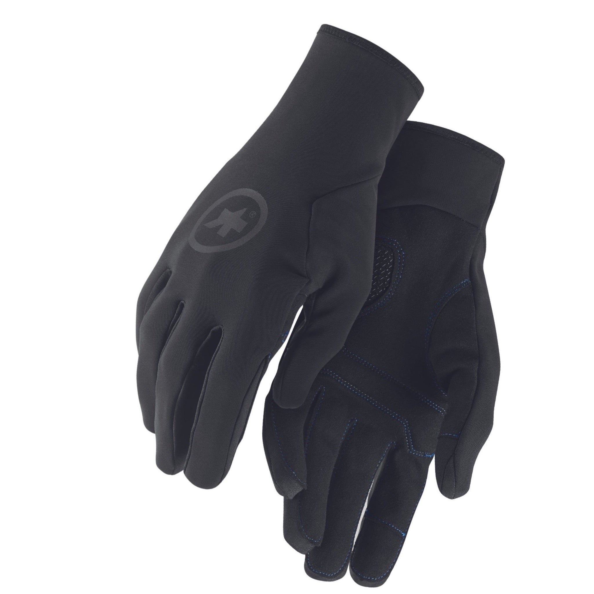 ASSOSOIRES Winter Gloves